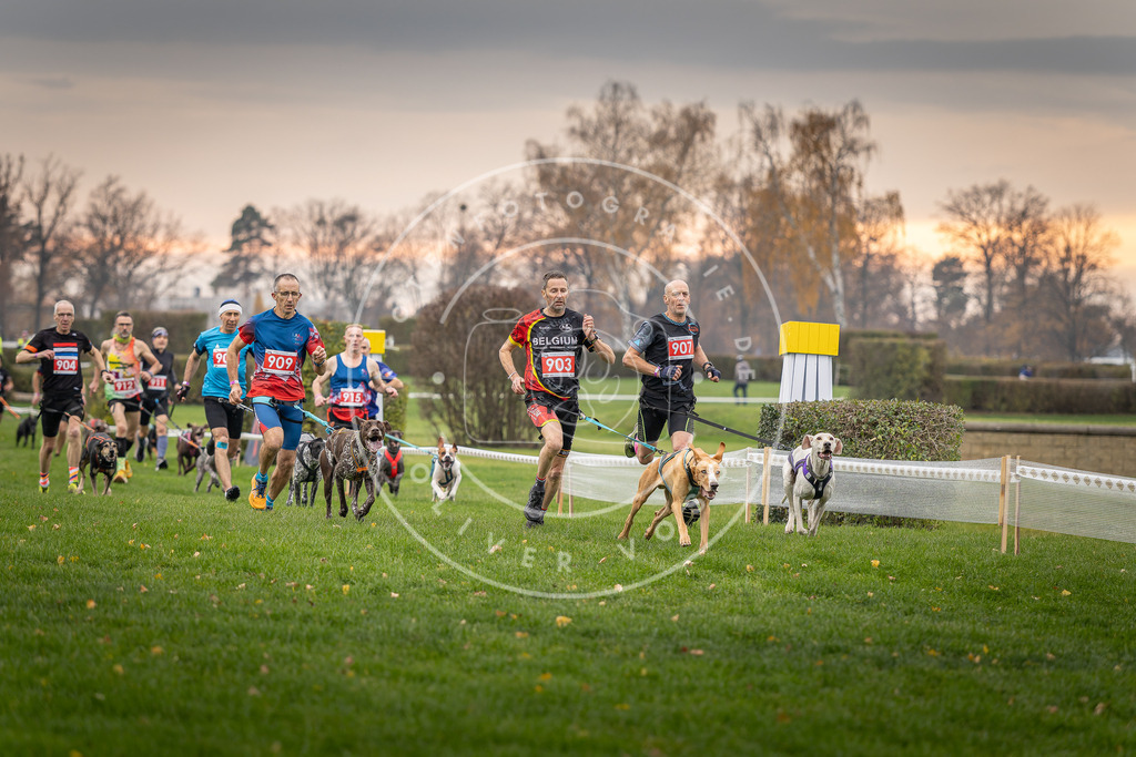 CaniXpix_DV3A6778 | Hundefotografie, Tierfotograf, Pfotenfotografie, Fotoshooting Hund, Hunde Portrait, Hundesport, Hundeportraits, Heideshooting, Hunde, Sportfotograf, Hundefotograf, Turnierhundsport, THS,  - Realisiert mit Pictrs.com