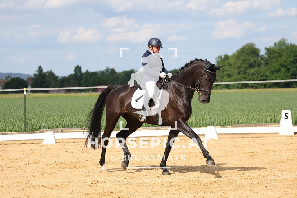 0P6A9089 | Willkommen bei Brunnmayr - Design & Fotografie – Ihrem Spezialisten für Reitturniere und Pferdeveranstaltungen in Oberösterreich, Salzburg und Bayern! Seit über 17 Jahren sind wir leidenschaftlich dabei.