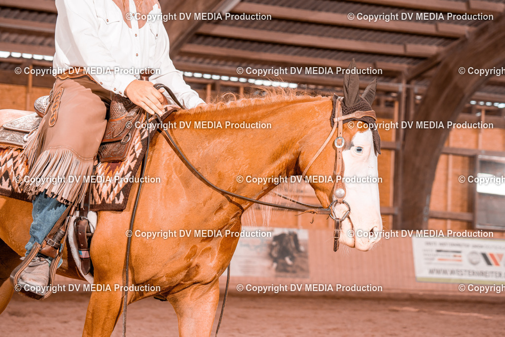 NE200565 | dv-media-shop - Realisiert mit Pictrs.com