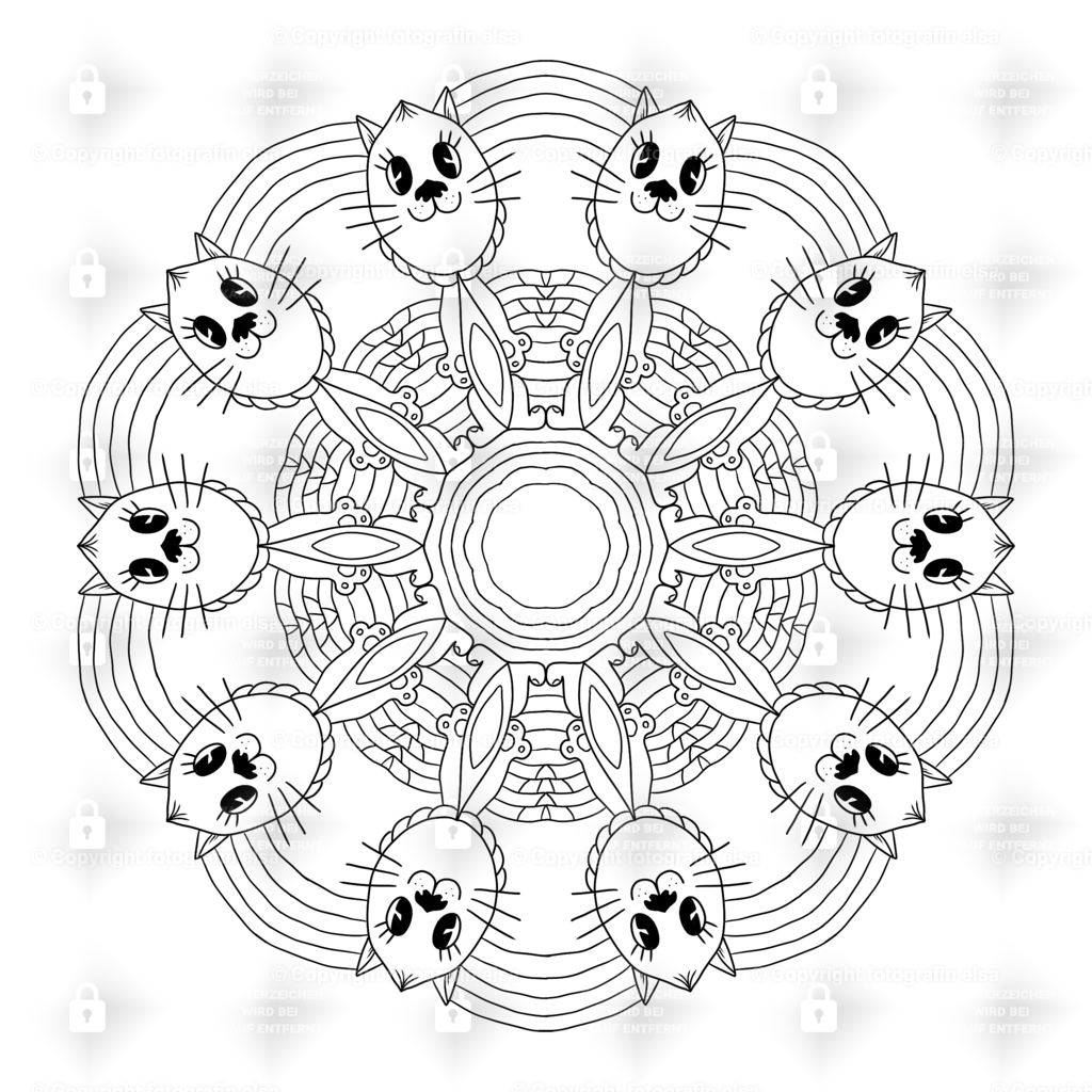 doo19 | fotografinelsa