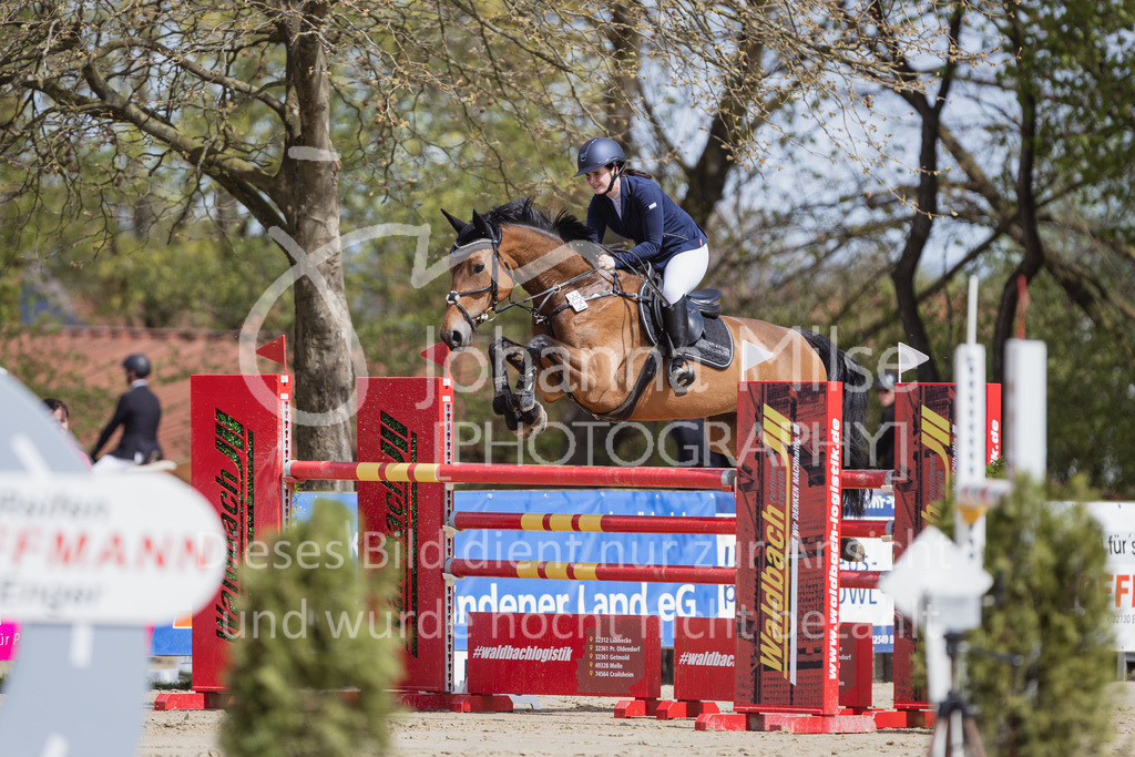 230501_SpengeW_M2St-162 | Deine schönsten Turniermomente als professionelle Fotos! Entdecke hochwertige Pferdesport-Fotografie im Online-Shop. Jetzt Fotos finden & bestellen!