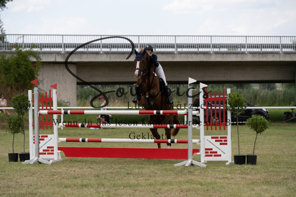 A7V02522 | Pferdefotograf