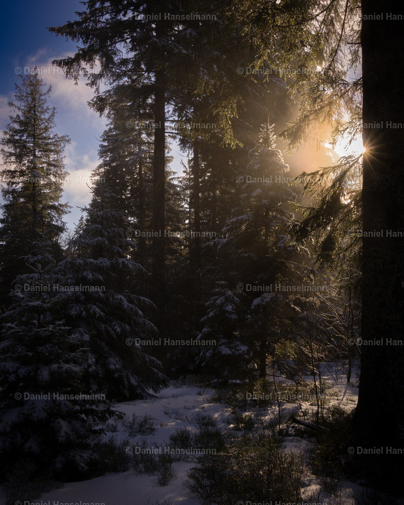 IMG_1106 | Hier finden Sie Poster, Leinwandfotos sowie viele weitere Fotoprodukte mit Motiven aus dem Schwarzwald, aus Freiburg und dem Kaiserstuhl zum Download und zum Bestellen.  - Realisiert mit Pictrs.com