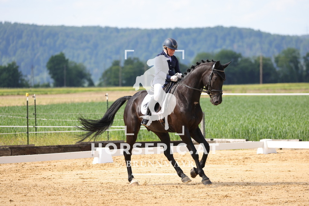 0P6A9095 | Willkommen bei Brunnmayr - Design & Fotografie – Ihrem Spezialisten für Reitturniere und Pferdeveranstaltungen in Oberösterreich, Salzburg und Bayern! Seit über 17 Jahren sind wir leidenschaftlich dabei.