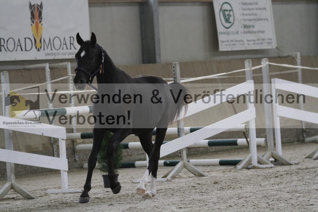 _MG_9344 | equestrian-live-com