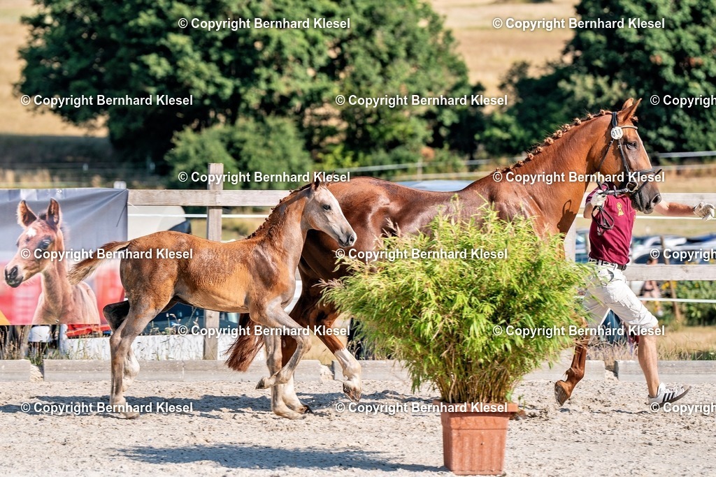 2A906230 | foto-team-bernhard - Realisiert mit Pictrs.com