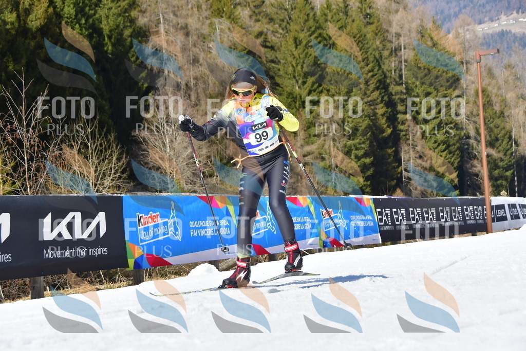 _DSC9584 | holidayphoto