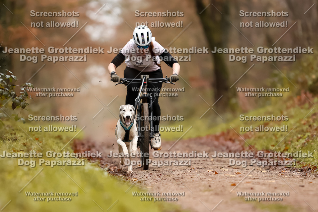 Dog Paparazzi - Speedhunter Mannheim  2025-14 | Dog Paparazzi Jeanette Grottendiek Fotografie & Videografie