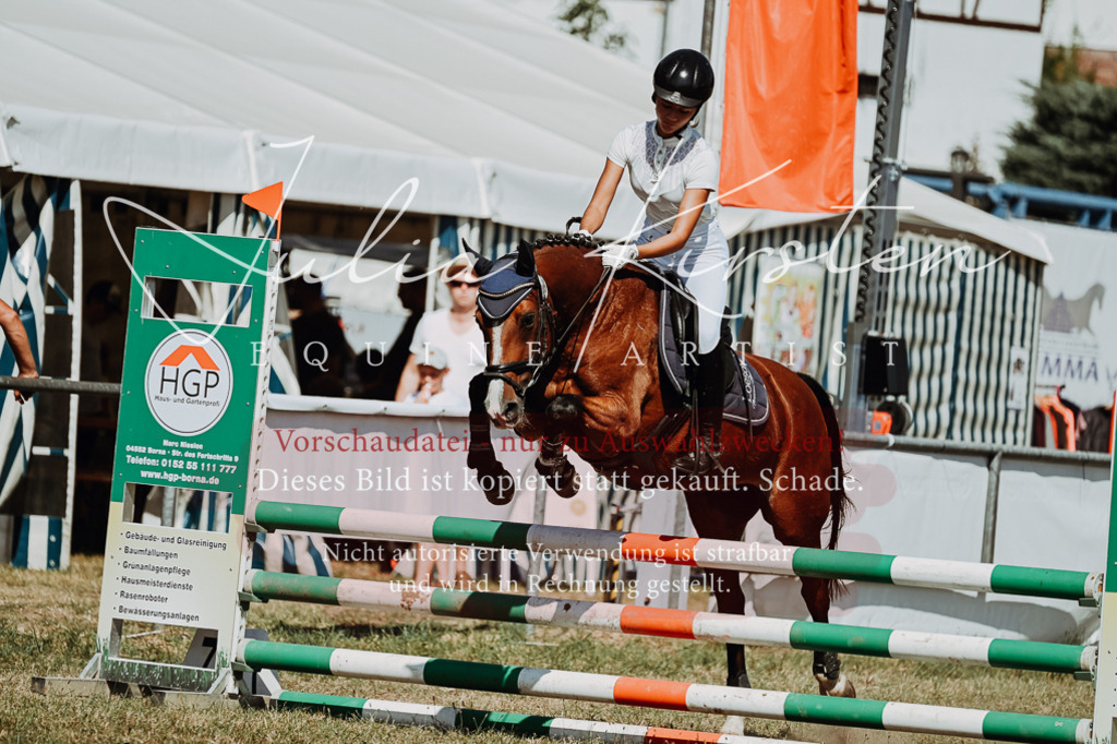 DSC_9888 | Pferde- und Turnierfotografie in Westsachsen. Pferdeportraits, Auftragszeichnungen und intuitive Kunst.