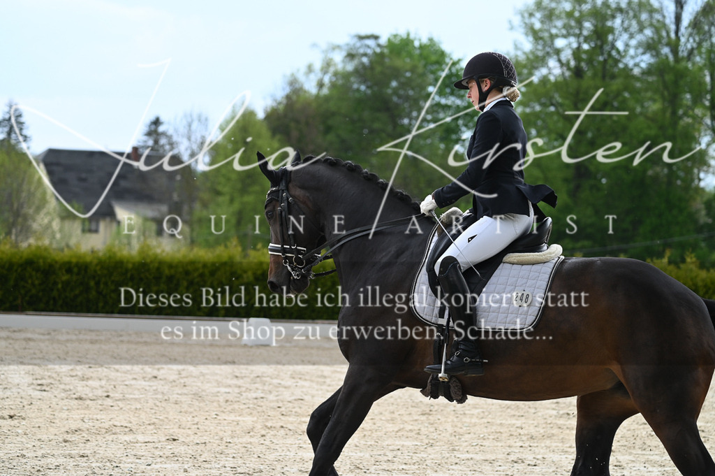 20230512_JK-Röhrsdorf-05-039 | Pferde- und Turnierfotografie in Westsachsen. Pferdeportraits, Auftragszeichnungen und intuitive Kunst.