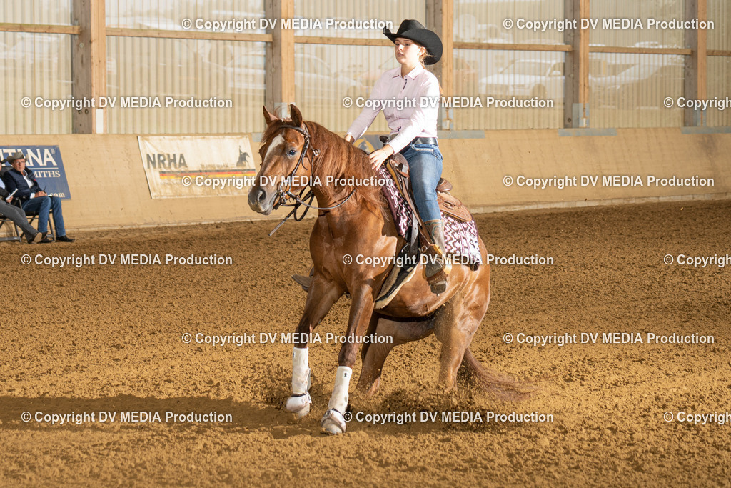 LAU00623 | dv-media-shop - Realisiert mit Pictrs.com