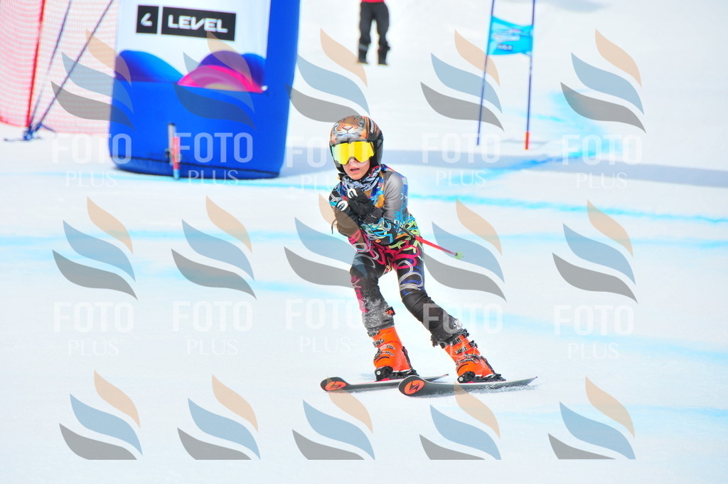 DSC_2134 | holidayphoto