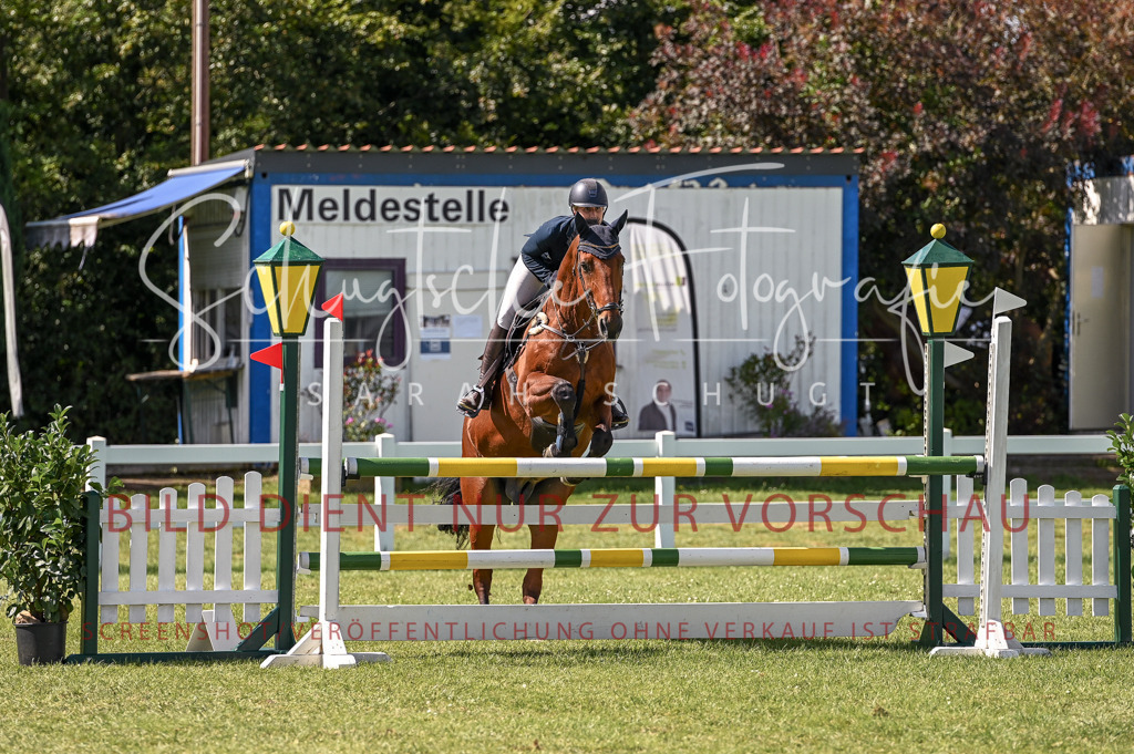 Schugtsche-Düren.2024-09.Springprf.L-135 | Schugtsche Fotografie - Realisiert mit Pictrs.com