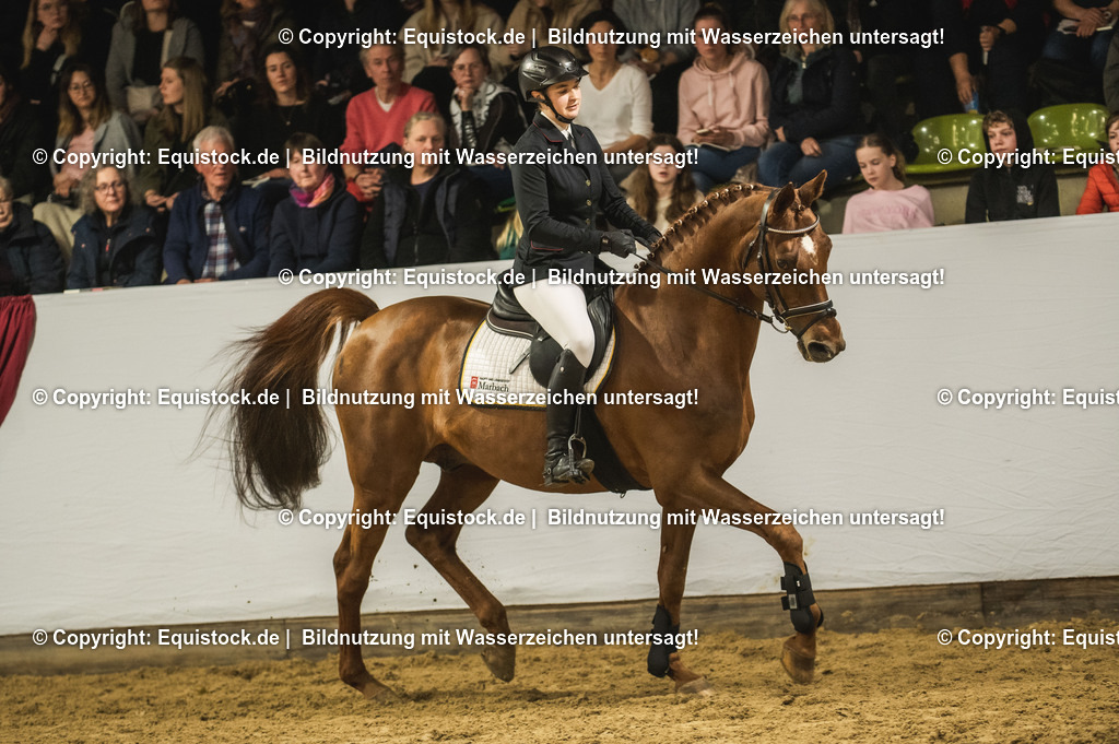 20240302_Hengstvorstellung_Marbach_TOMsPiC_1336 | equistock