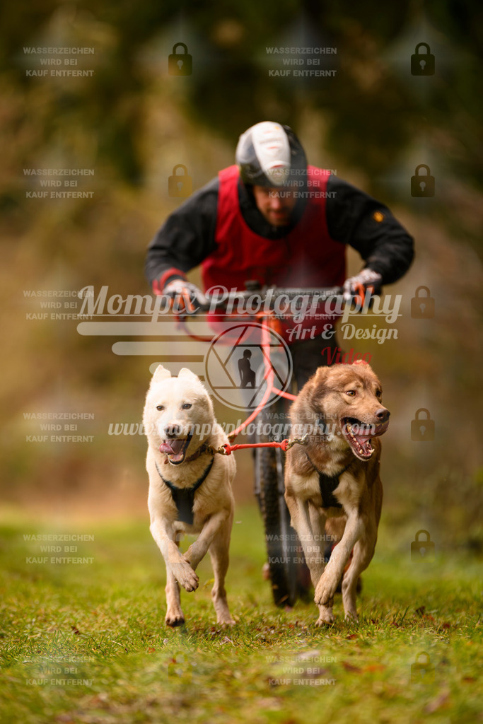 MompixPhotography_2SSTSSBW_2025_SO_Scooter-88 | PayLife