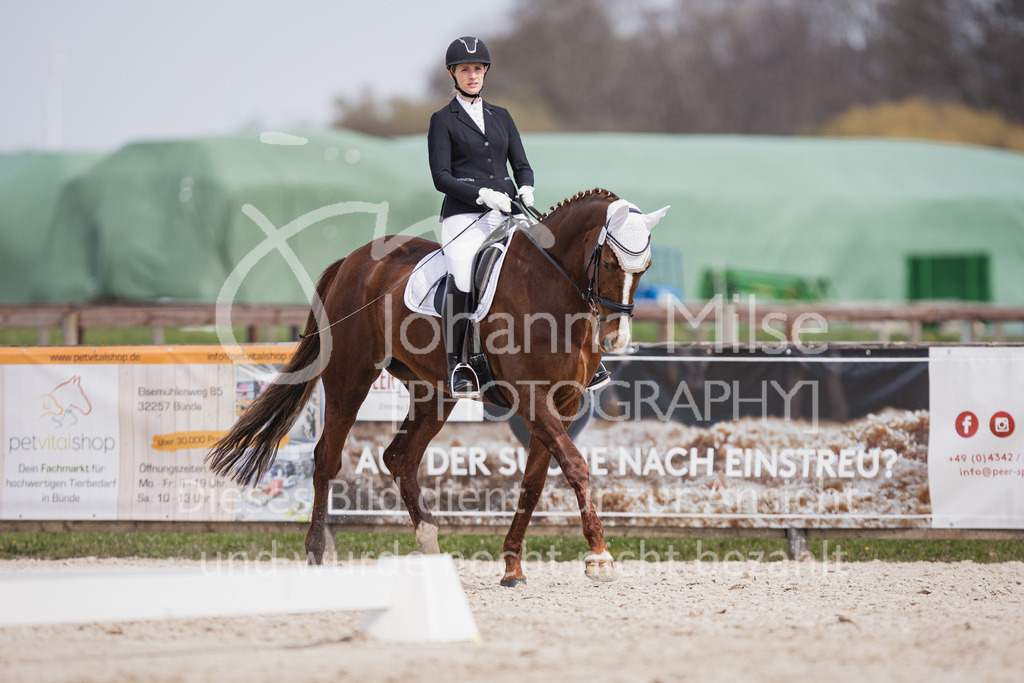 230410_Frühlingsfest_A-Dressur-494 | Deine schönsten Turniermomente als professionelle Fotos! Entdecke hochwertige Pferdesport-Fotografie im Online-Shop. Jetzt Fotos finden & bestellen!