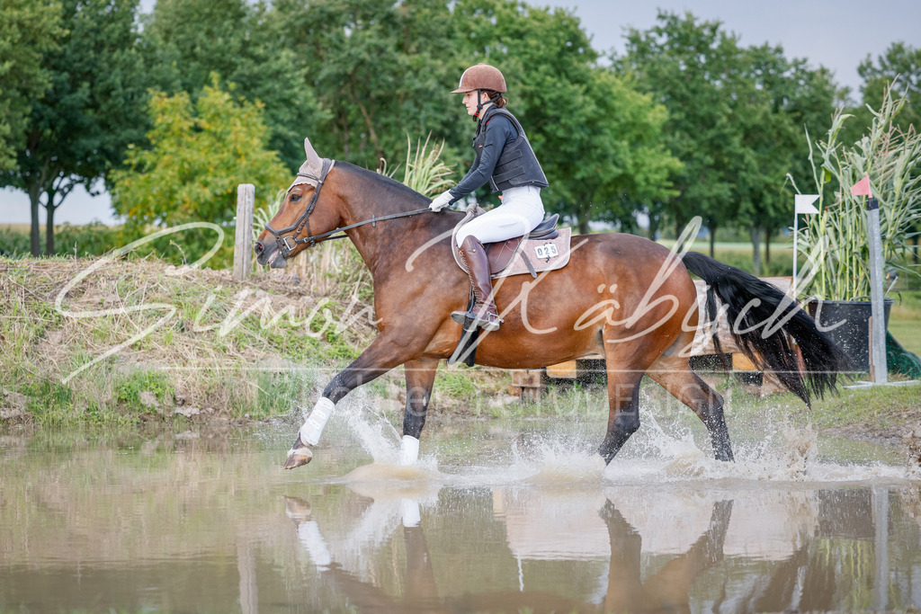 20250905-_3LI1723 | Tierfotografie Pferde, Hunde, Katzen, Haustiere.
Turnierfotografie Reitturniere, Reiten, Springreiten, Dressur in Hanau, dem Main-Kinzig-Kreis und dem Rhein-Main- Gebiet um Frankfurt