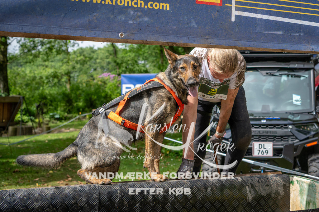 1037_ZZ91558 | kk-dogfotos