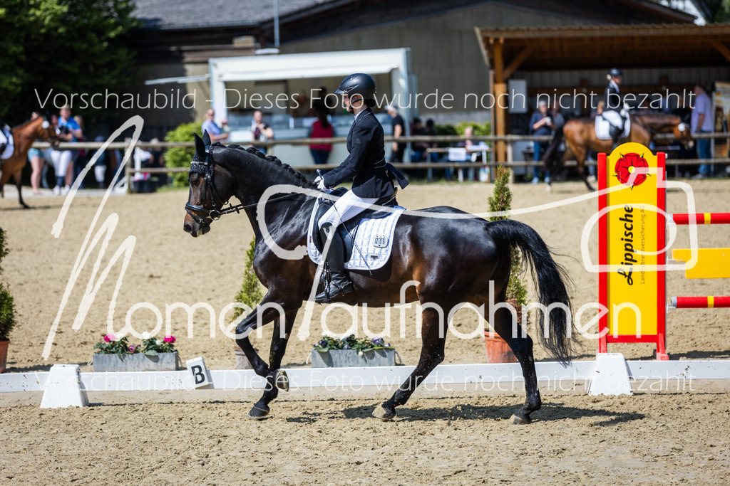 Donop24-L-Dre-091 | MomenTaufnahmen Pferdesportfotos