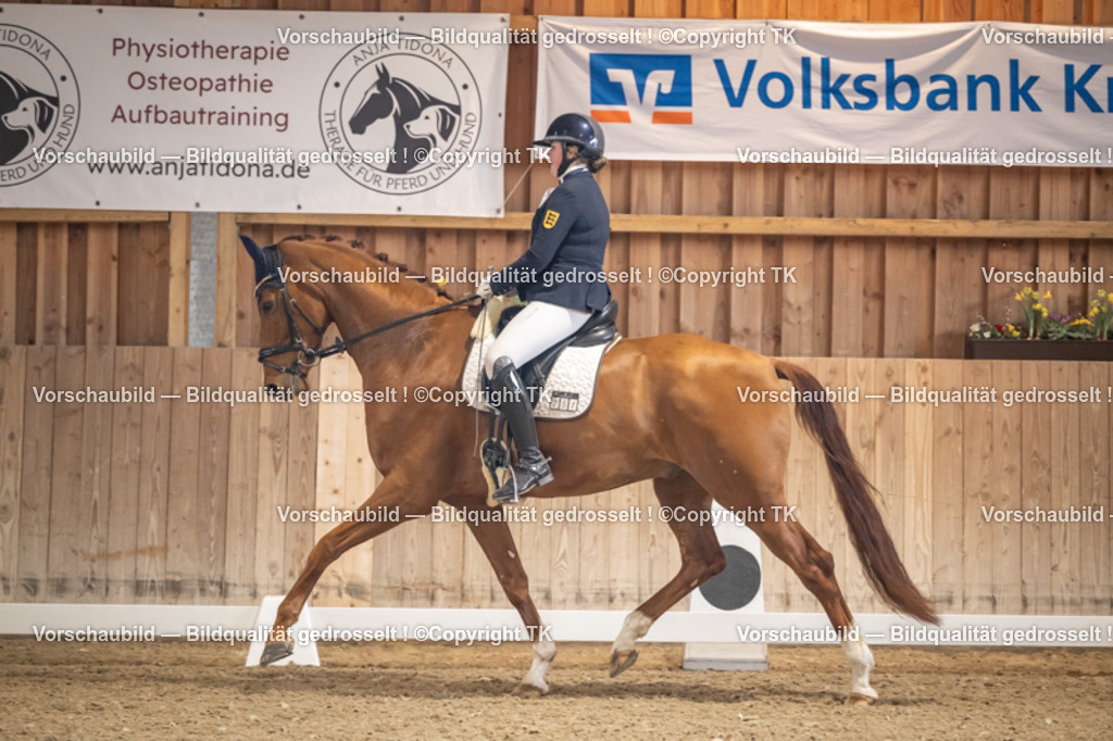 _D5A5982 | Emotionale Pferde- & People-Fotografie rund um Heidelberg, Leimen & Umgebung. Natürliche Fotos von Pferd, Mensch & Familie. Jetzt Termin sichern!