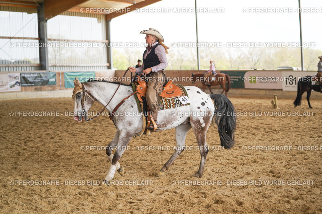 DSC01958 | Pferdegrafie