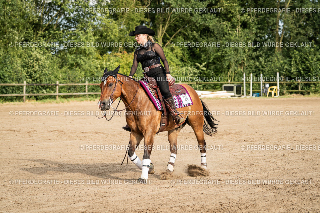 DSC05373 | Pferdegrafie