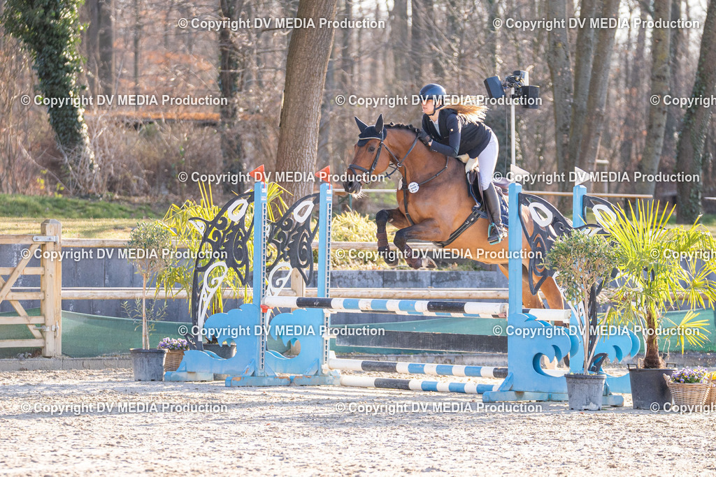 Kranichstein Tag 1-017 | dv-media-shop - Realisiert mit Pictrs.com