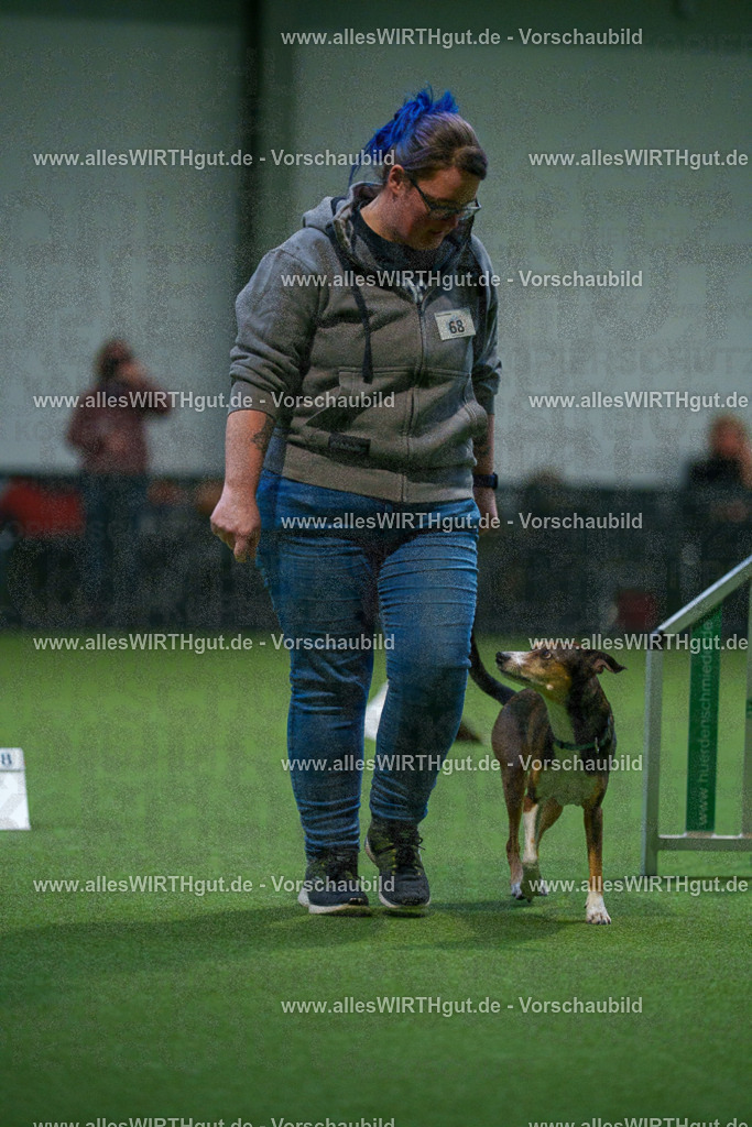 7R503806 | Professionelle Tierfotografie in Mönchengladbach von Daniel Wirth (allesWIRTHgut). Liebevolle & natürliche Bilder von Hunden & Katzen für unvergessliche Erinnerungen.