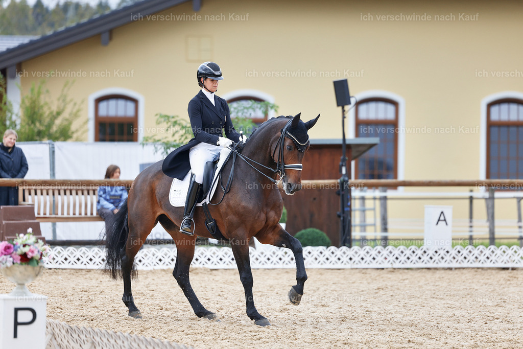 12-110-DRESSUR  S___  -StoibPH-5290 | working equitationturnier fotograf videograf stoibphotography marixx film working equitation deutschland reitsport turnierfotografie eventfotografie equestrian events