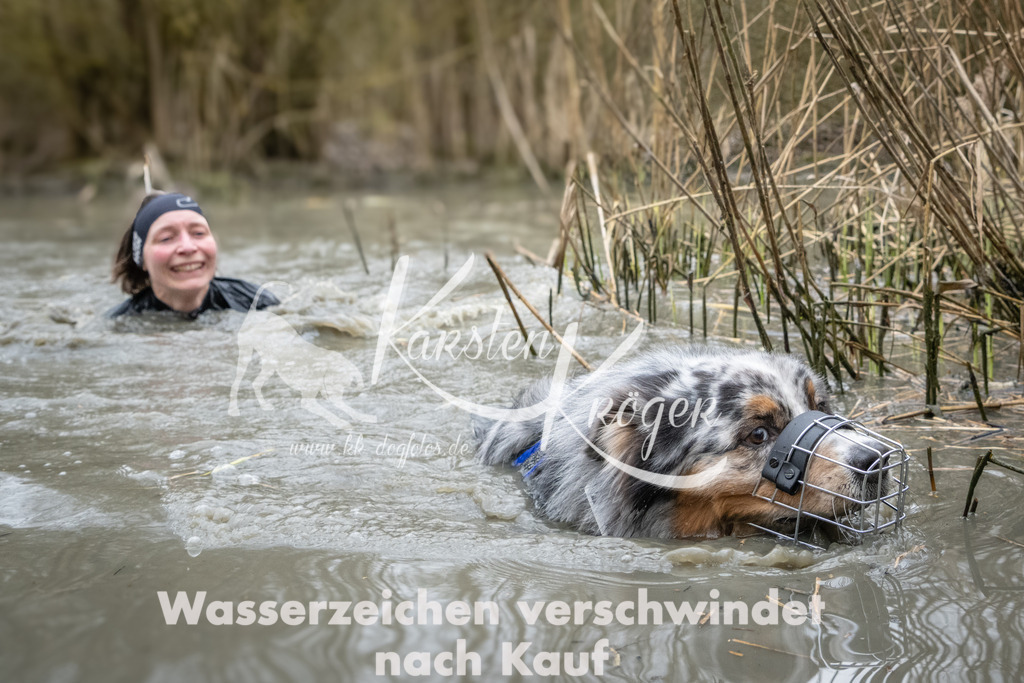 1113_ZZ97767 | kk-dogfotos