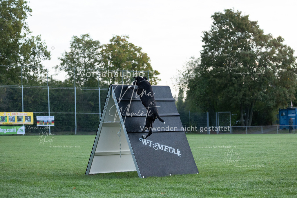 _16A5753 | Einzigartige Fotos von Hunden & Menschen –Actionfotos, Portraits, Vereinsaufnahmen & Paarshootings – authentisch, lebendig & mit Herz.