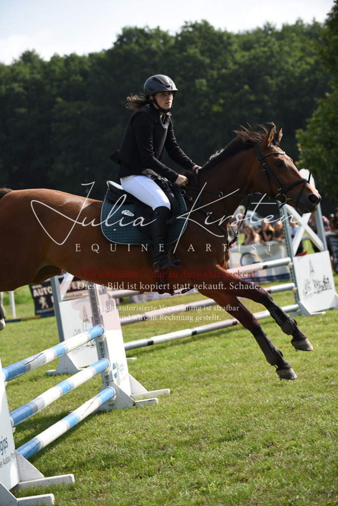DSC_8831 | Pferde- und Turnierfotografie in Westsachsen. Pferdeportraits, Auftragszeichnungen und intuitive Kunst.