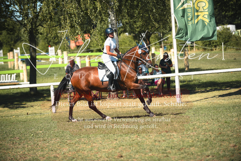 DSC_7243 | Pferde- und Turnierfotografie in Westsachsen. Pferdeportraits, Auftragszeichnungen und intuitive Kunst.