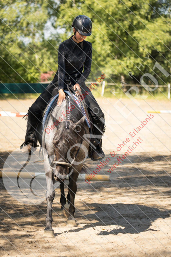IMG_7677 | Sport-, Event- und Tierfotos in Profiqualität. Einfach auswählen, bestellen und herunterladen. Dein Moment – perfekt festgehalten.