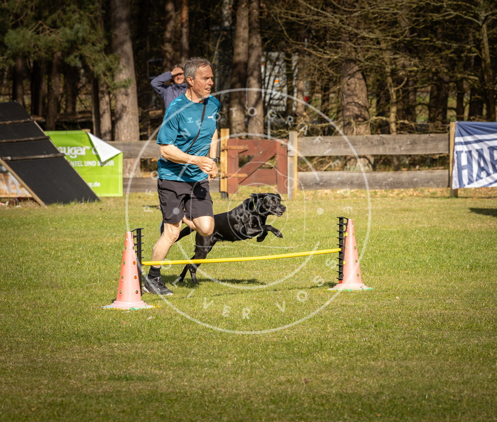 Pfotenfotografie_DV3A1512 | Hundefotografie, Tierfotograf, Pfotenfotografie, Fotoshooting Hund, Hunde Portrait, Hundesport, Hundeportraits, Heideshooting, Hunde, Sportfotograf, Hundefotograf, Turnierhundsport, THS,  - Realisiert mit Pictrs.com