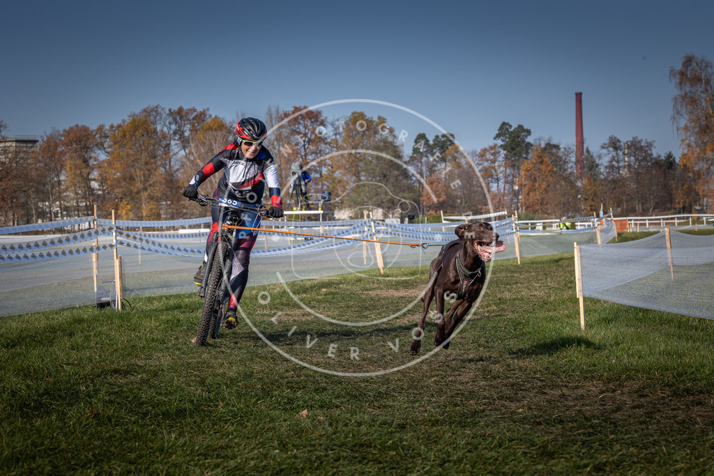 CaniXpix_0L8A7726 | Hundefotografie, Tierfotograf, Pfotenfotografie, Fotoshooting Hund, Hunde Portrait, Hundesport, Hundeportraits, Heideshooting, Hunde, Sportfotograf, Hundefotograf, Turnierhundsport, THS,  - Realisiert mit Pictrs.com