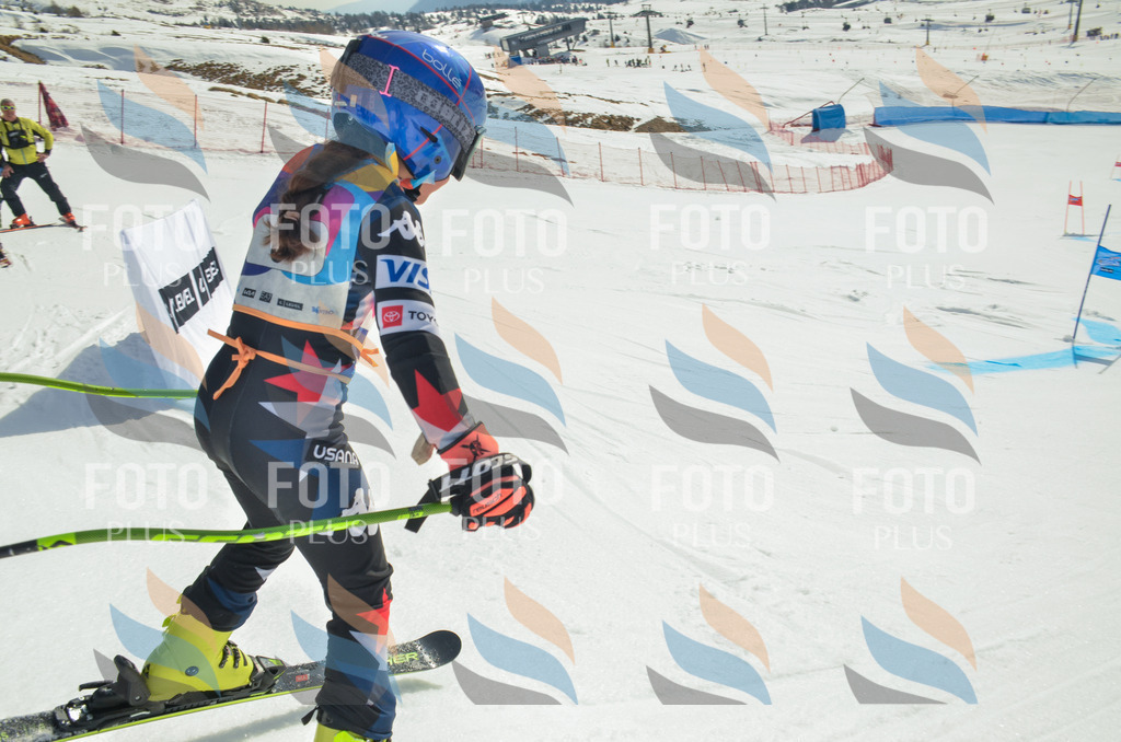 _ELE4462 | holidayphoto