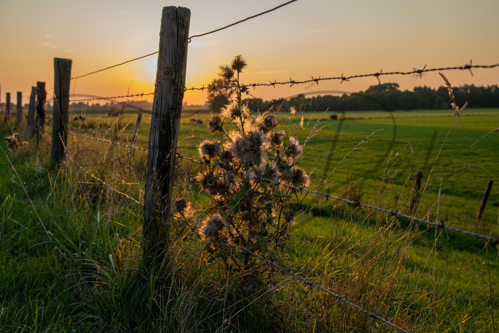 landschaft-1-19 | fotografie-derks - Realisiert mit Pictrs.com