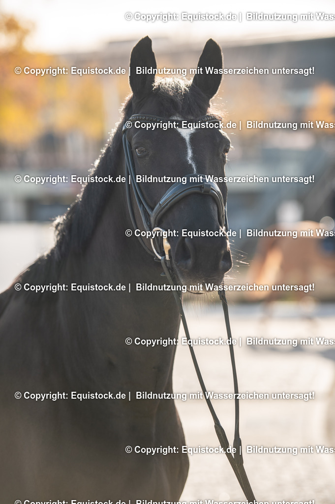 20251113_Lisa-Müller_TOMSPIC_0037 | Foto: Thomas Hartig