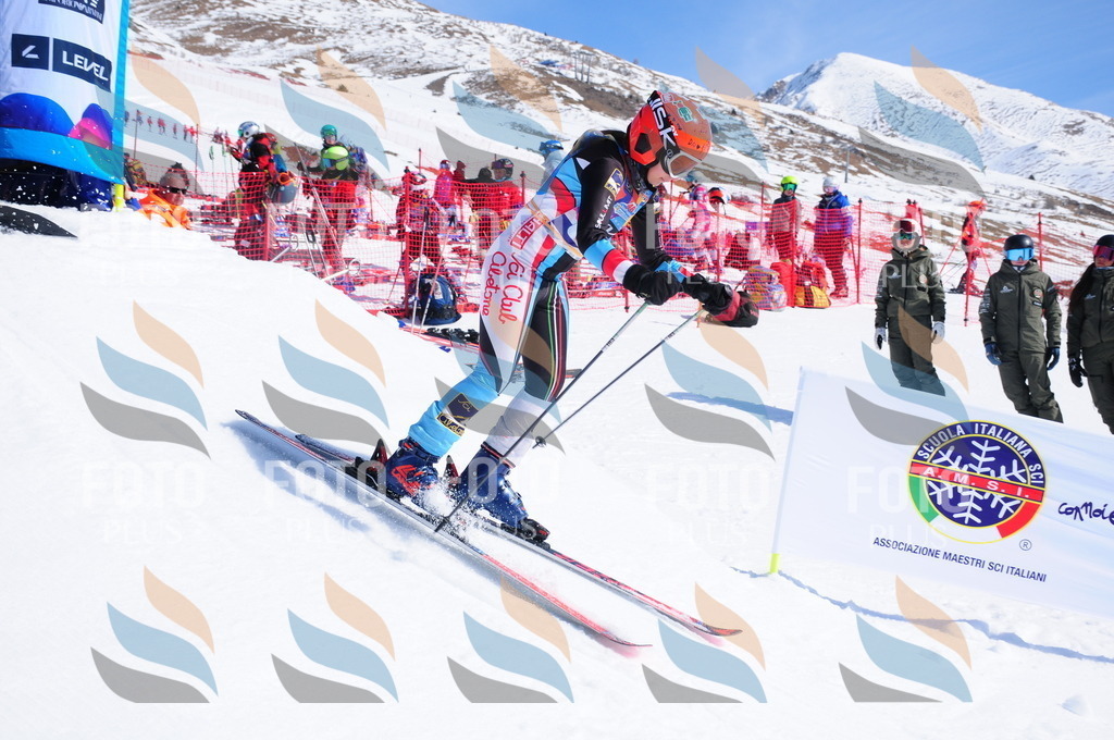 DSC_4646 | holidayphoto