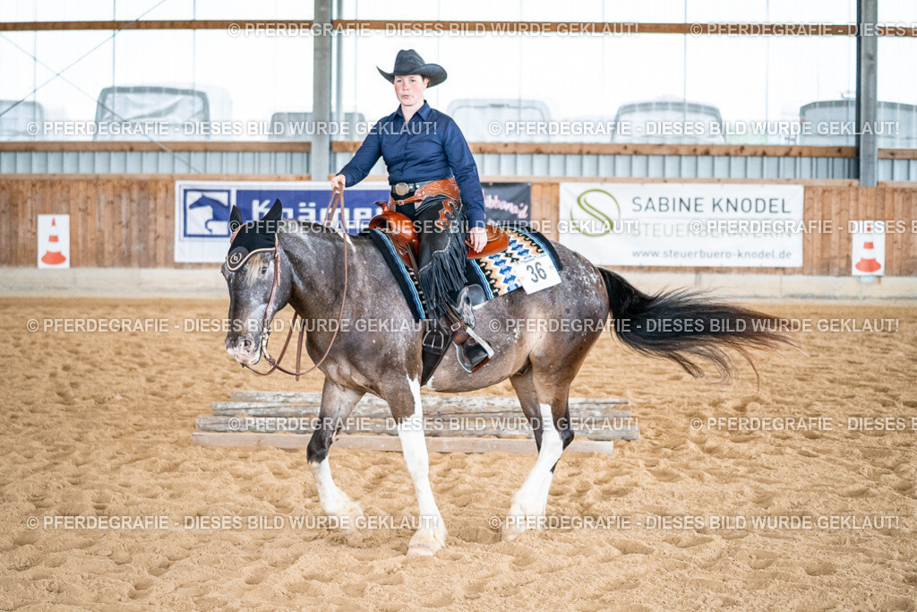 DSC02785 | Pferdegrafie