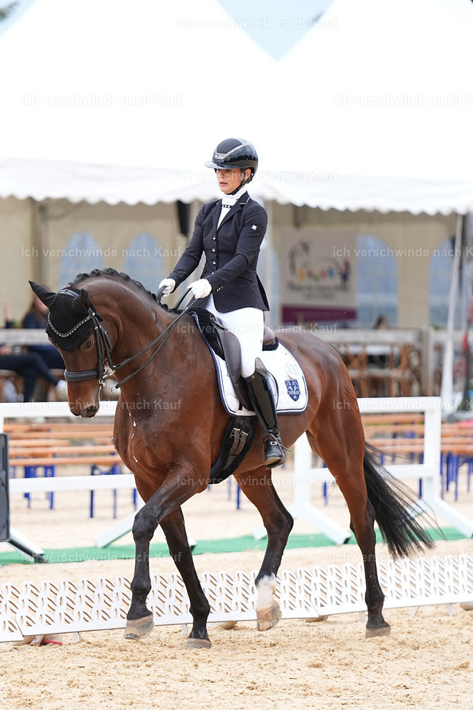 3-197-Dressur M_-Marixx-1948 | working equitationturnier fotograf videograf stoibphotography marixx film working equitation deutschland reitsport turnierfotografie eventfotografie equestrian events