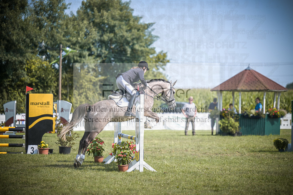DOS_3367 | Entdecke hochwertige Reitturnierfotos von Foto Oger. Professionell, emotional und authentisch – jetzt Lieblingsmomente im Shop bestellen.Deutschlandweite Turnierfotografie. - Realisiert mit Pictrs.com