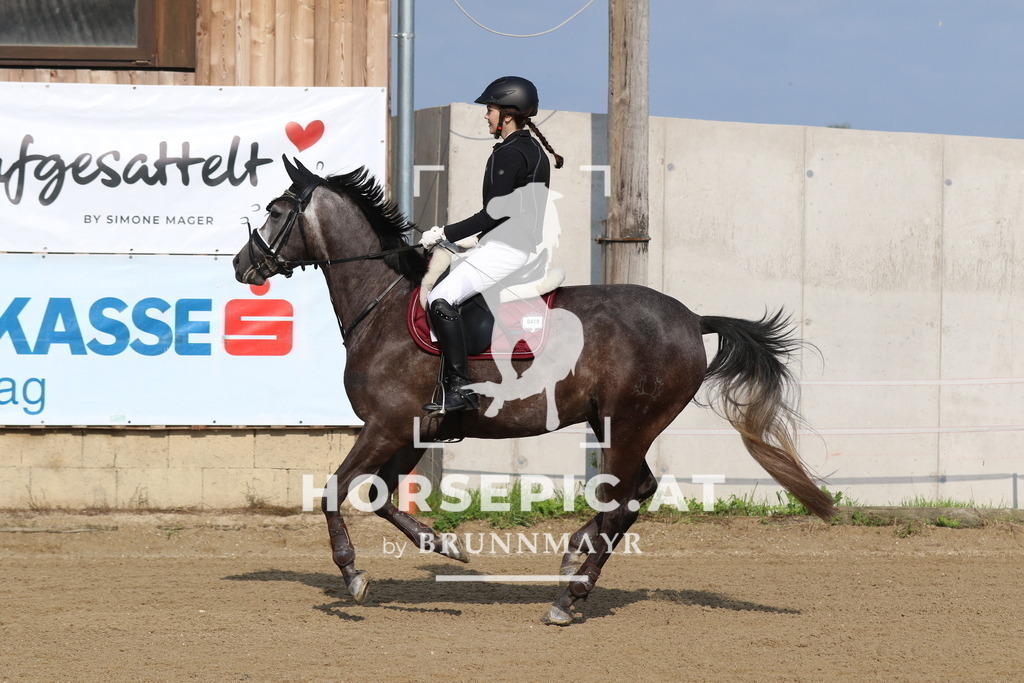 7V2A2500 | Willkommen bei Brunnmayr - Design & Fotografie – Ihrem Spezialisten für Reitturniere und Pferdeveranstaltungen in Oberösterreich, Salzburg und Bayern! Seit über 17 Jahren sind wir leidenschaftlich dabei.