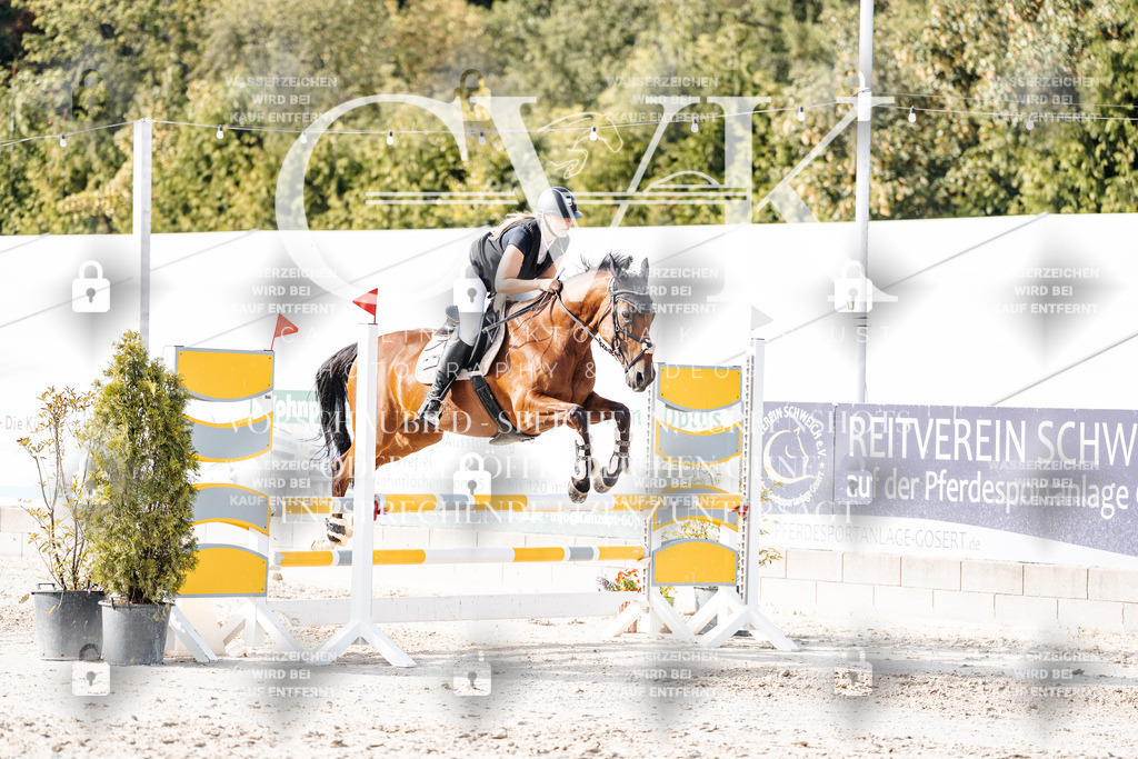 CK906094 | Turnierfotografie Pferdefotografie Trier Rheinland-Pfalz Pferdesport Reitsport Tierfotografie Sportfotografie Pferdevideo Pferdevideografie Equestrianvideography equestrianphotography  - Realisiert mit Pictrs.com