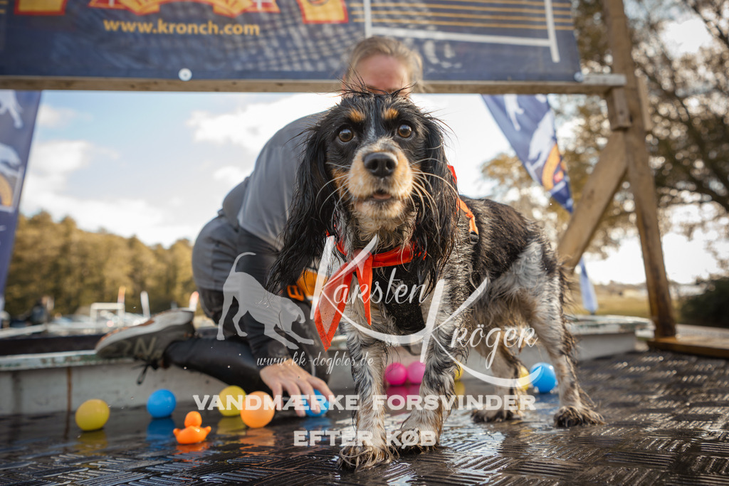 1301_ZZ98780-2 | kk-dogfotos