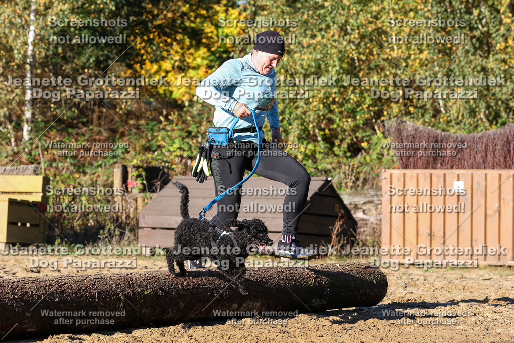 Dog Paparazzi - Strongdog 10-25-1478 | Dog Paparazzi Jeanette Grottendiek Fotografie & Videografie - Realisiert mit Pictrs.com
