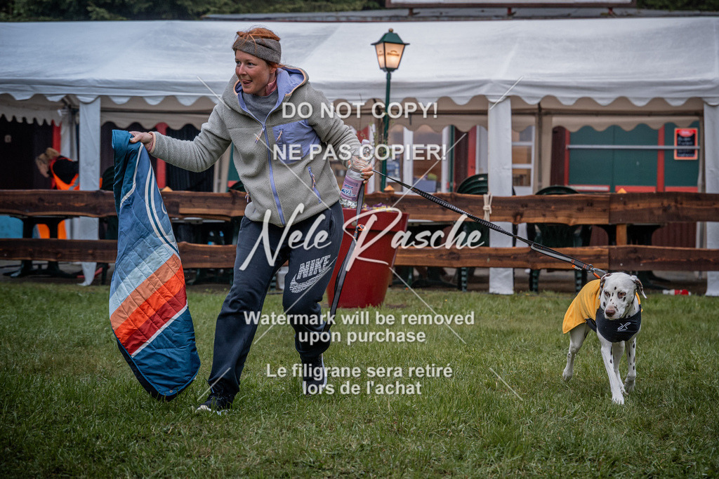 nelerasche_SoAuszug_227 | nelerasche