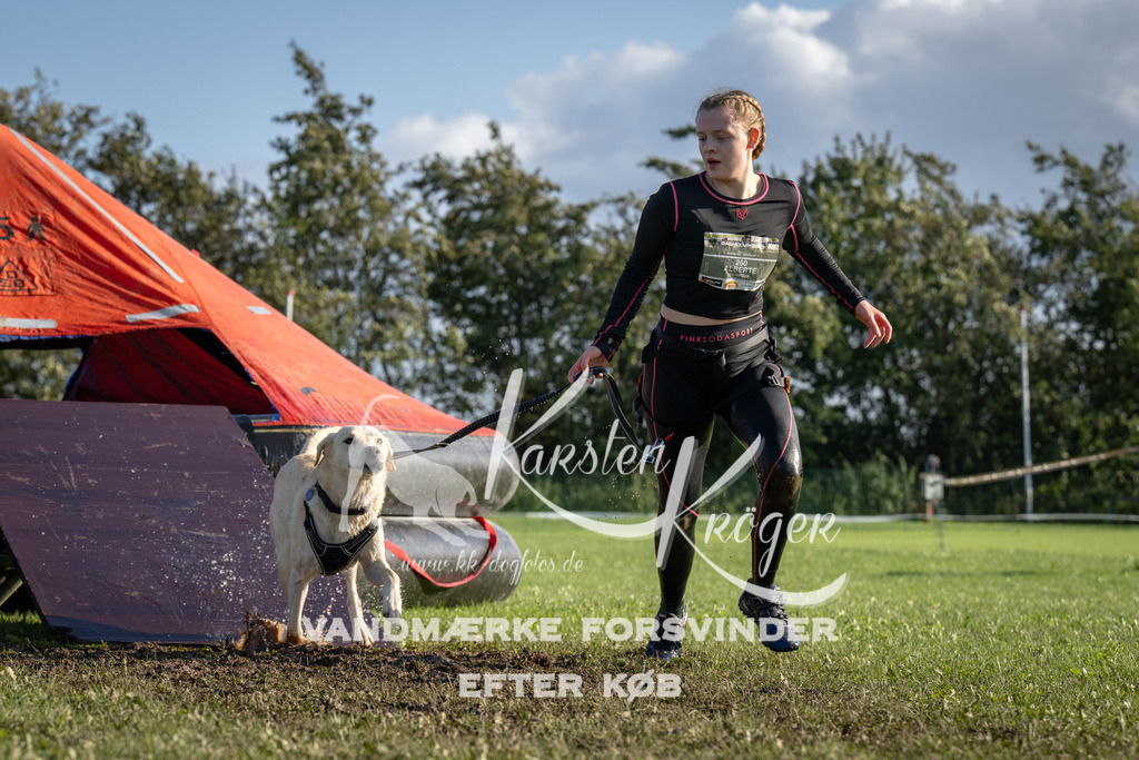 1447-94993 | kk-dogfotos