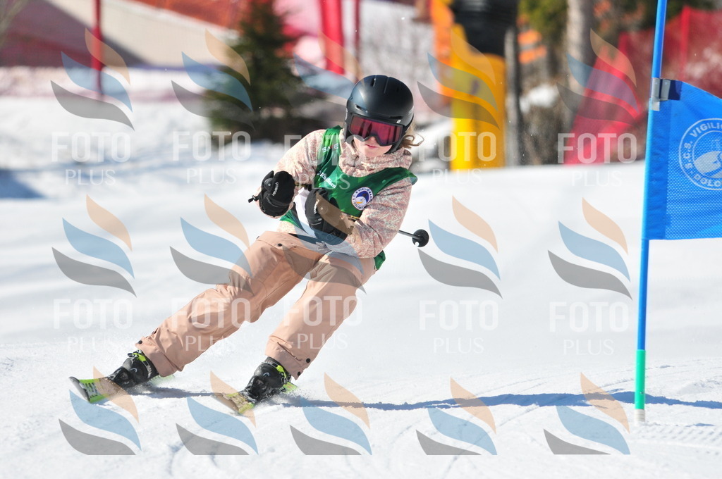 C3258 | holidayphoto